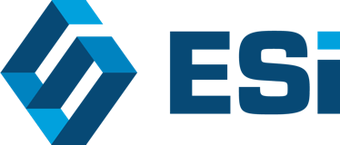 Engsys logo