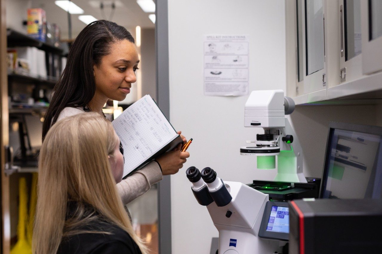 Students in the TNT Lab