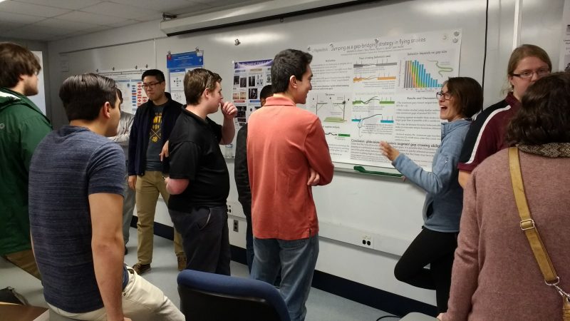multiple students, in an engineering symposium, view the various research posters