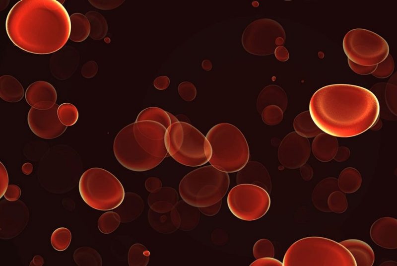 Image of blood cells traveling through a vein.