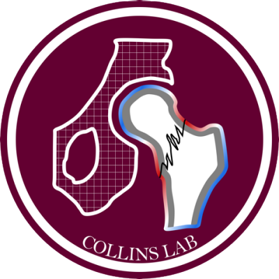 The Collins Lab: Hard Tissue Biomechanics and Computational Mechanobiology