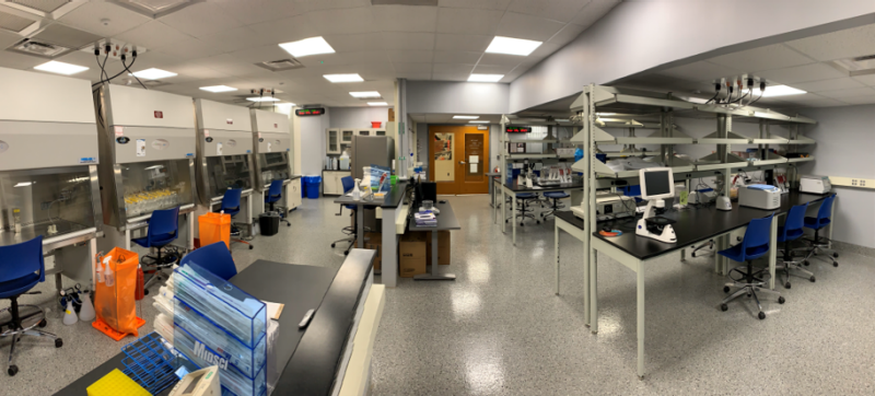 Panoramic view of the biomedical engineering undergraduate Pat Artis Lab