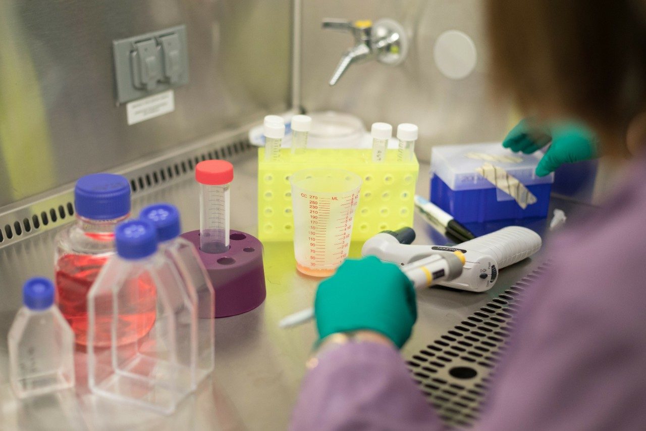 Research Experience for Undergraduates Program Biomedical Engineering