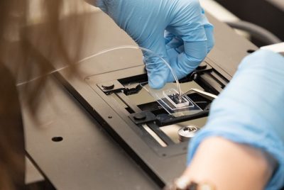 Microfluidic chip in the Davalos Lab