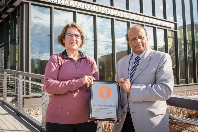 Linda Dahlgren, professor of large animal surgery receives the 2021 Zoetis Award for Veterinary Research Excellence from S. Ansar Ahmed, associate dean for research and graduate studies at the Virginia-Maryland College of Veterinary Medicine.
